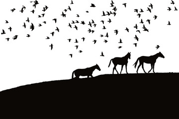 Birds And Horses Silhouette