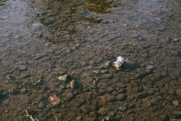 Bottle is floating in the water