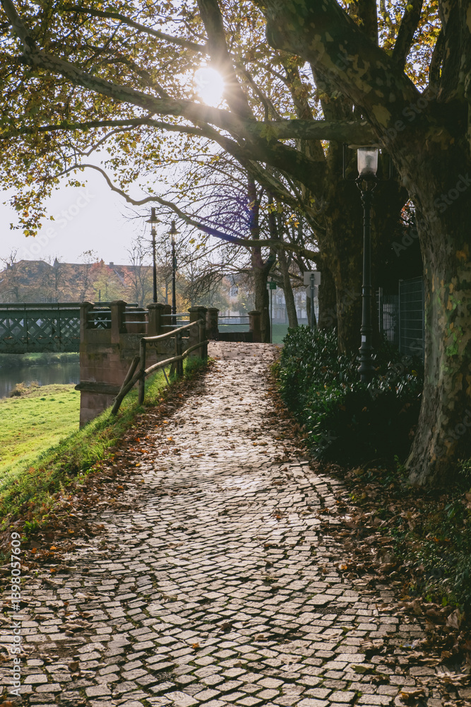 Poster path with a bridge in the background and trees on either side