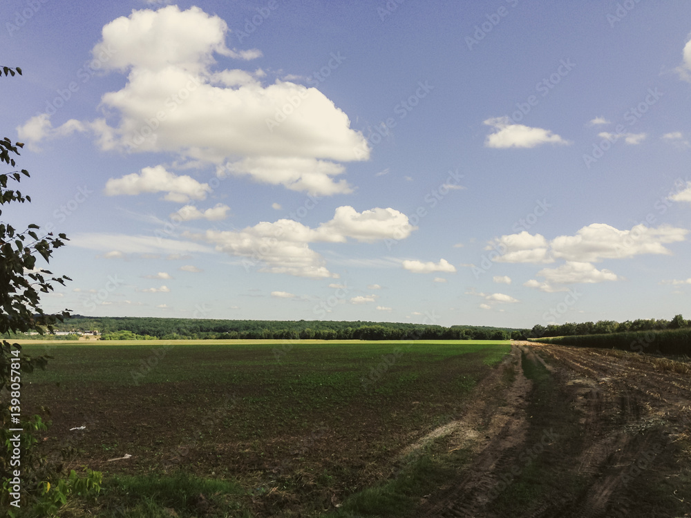 Poster field with a few trees and a cloudy sky