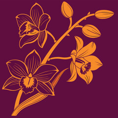 Exotic Orchid Study In Sophisticated Gold Line Art On Deep Violet Background Highlighting The Complex Structure And Elegant Forms Of These Prized Tropical Flowers