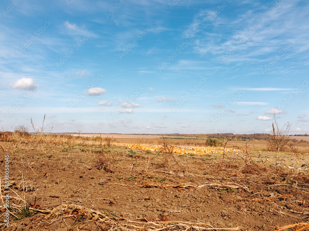 Poster field of dry grass with a few trees in the background