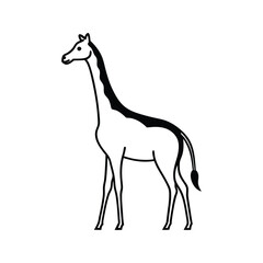 giraffe vector illustration
