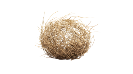 Isolated Single Tumbleweed on White Background - Unique and Calm Natural Element Concept