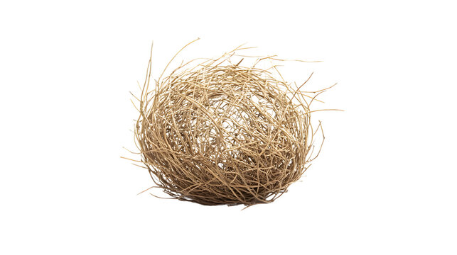 Isolated Single Tumbleweed on White Background - Unique and Calm Natural Element Concept