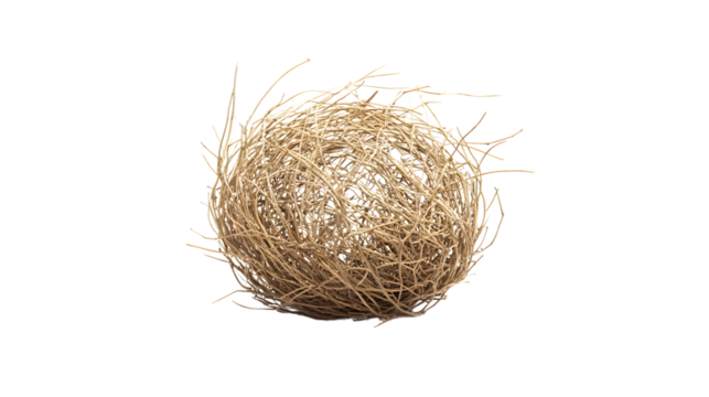 Isolated Single Tumbleweed on White Background - Unique and Calm Natural Element Concept
