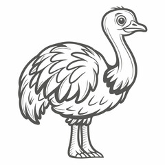 Rhea Bird Outline Illustration, Vector Graphic