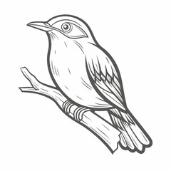 Red-Eyed Vireo Line Art on Branch Illustration