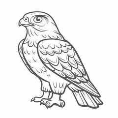 Red-Shouldered Hawk Outline Illustration unique