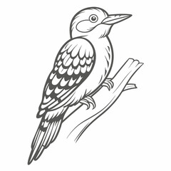 Red-bellied Woodpecker Line Art on Branch