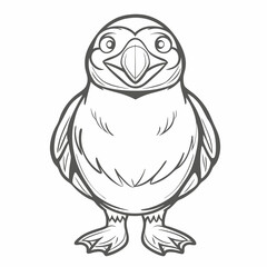 Razorbill Bird Outline Illustration, Vector Graphic