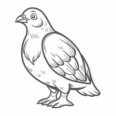 Fototapeta premium Outline Drawing of a Ptarmigan Bird