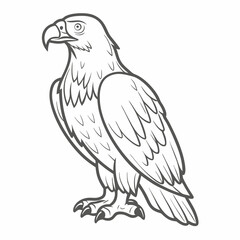 Osprey Outline Illustration, Bird of Prey
