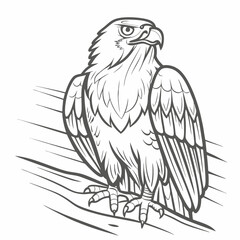 Osprey Line Art Illustration on Branch