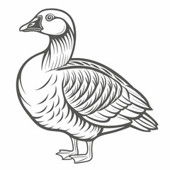 Elegant Nene Goose Line Art Illustration