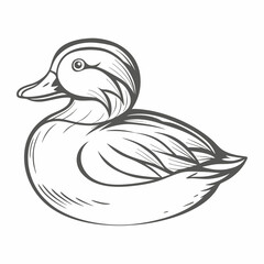Elegant Mandarin Duck Outline Illustration
