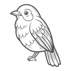 Manakin Bird Line Art Illustration Vector