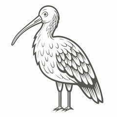 Long-Billed Curlew Outline Illustration colorful