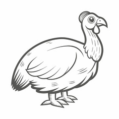 Guinea Fowl Line Art Illustration