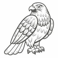 Goshawk Outline Illustration, Northern Hawk Bird