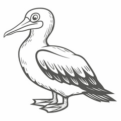 Northern Gannet Bird Line Art Illustration