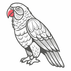 Stylized Galah Illustration, Australian Bird Icon