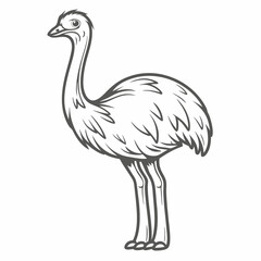 Emu Outline Illustration, Australian Bird