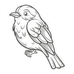 Eastern Phoebe Bird Line Art Illustration