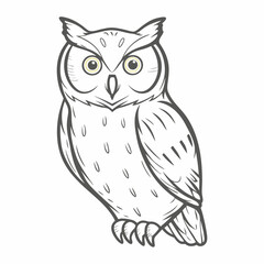 Eastern Screech Owl Line Art Illustration