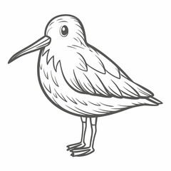 Obraz premium Dunlin Bird Line Art Illustration Vector