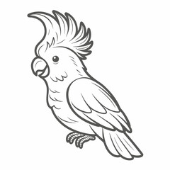 Sulphur-Crested Cockatoo Line Art Illustration