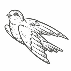 Obraz premium Chimney Swift Outline Illustration, Bird in Flight