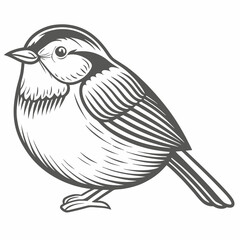 Stylized Blue Tit Bird Vector Illustration