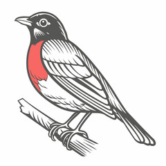 American Robin Bird Perched on Branch Illustration