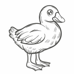Cute American Coot Line Art Illustration