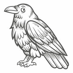 Detailed Line Art Illustration of an American Crow