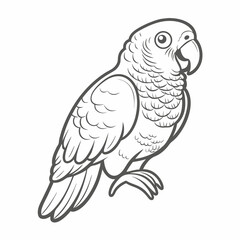 African Grey Parrot Outline Illustration
