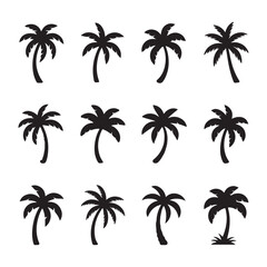 Exotic Palm Tree Illustrations for Summer and Nature Enthusiasts