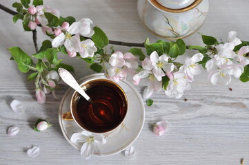 Elegant porcelain cup of black coffee with gold accents, surrounded by blooming apple blossoms on a...