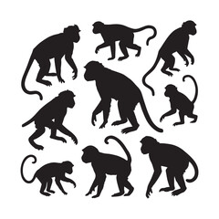 Set of monkey silhouette white background.