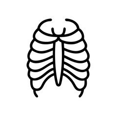 ribs