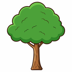 Fototapeta premium green tree isolated on white