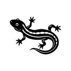 Salamander silhouette vector