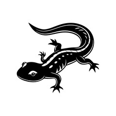 Salamander silhouette vector