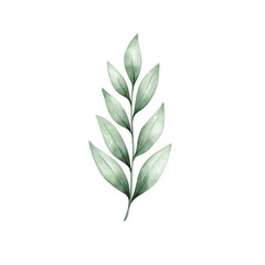 Fototapeta premium delicate watercolor illustration of green leafy branch with multiple leaves, showcasing natural and artistic design. soft colors and gentle strokes create serene and elegant appearance