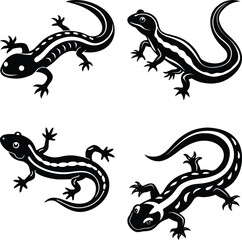 Salamander silhouette vector