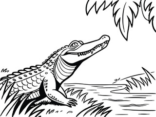 alligator coloring page