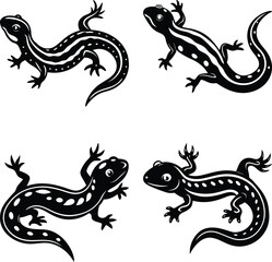 Salamander silhouette vector