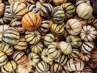 Large pile of pumpkins with stripes and spots