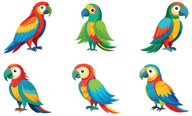 Set of parrots isolated on white background